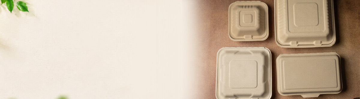 Bagasse Meal Containers