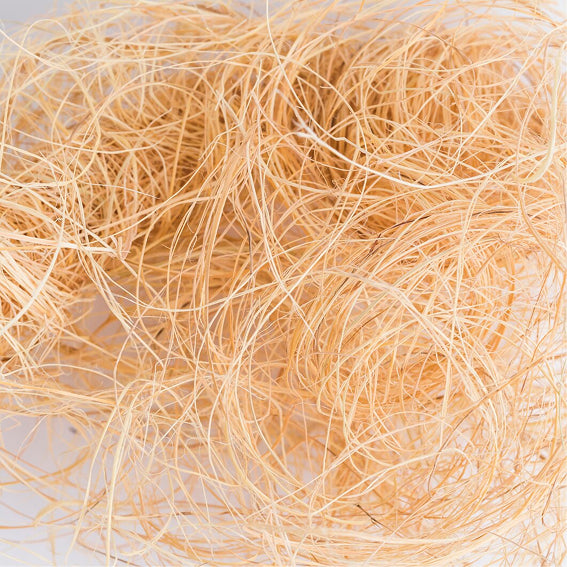 Bagasse Collection